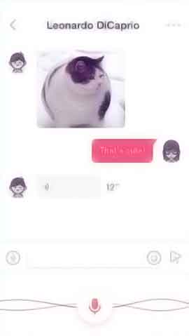 ddos攻击器安卓ios下载软件程序维护界面